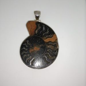 Ammonite Sterling Pendant